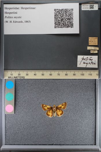 Media type: image;   Entomology 197506